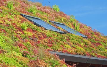 Westrigg living roof systems