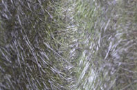 Westrigg fibreglass roof work